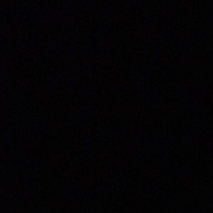 Meet your Posher, Lily